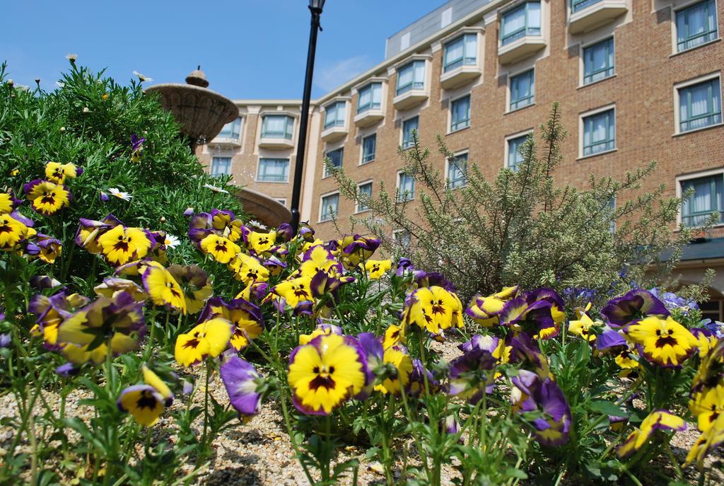 Royal Oak Hotel Spa & Gardens 大津 外观 照片